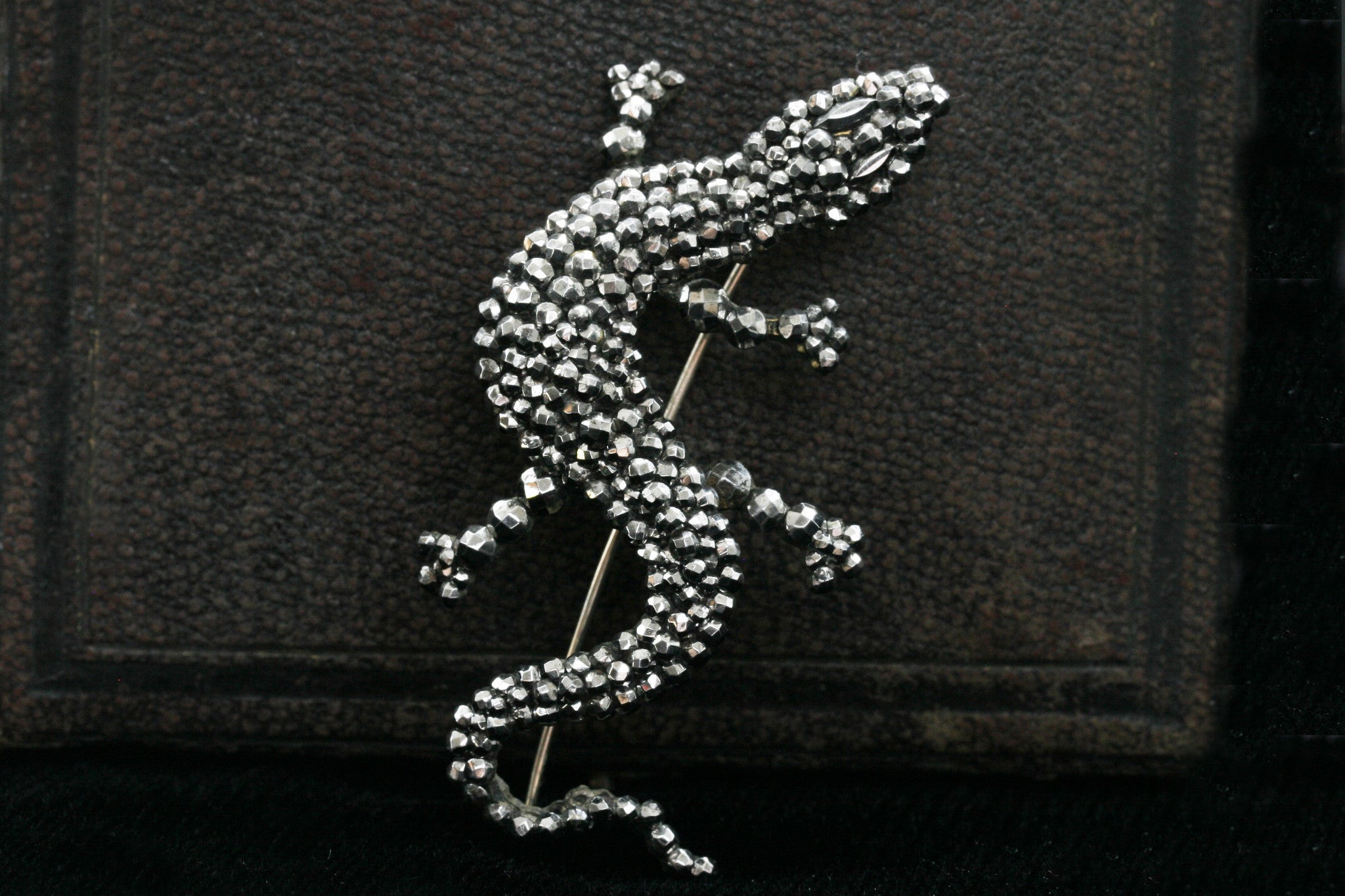 Lizard brooch on sale